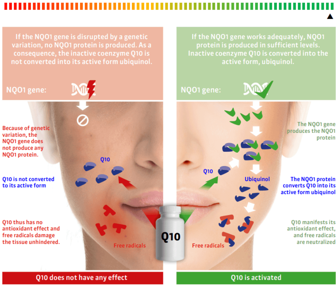 DNA Skin Analysis & Personalised Skincare