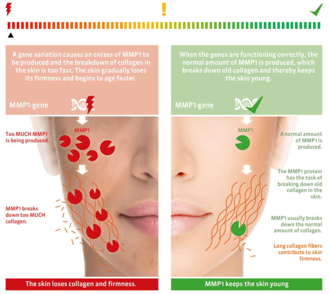 DNA Skin Analysis & Personalised Skincare